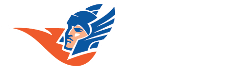 BlueViking
